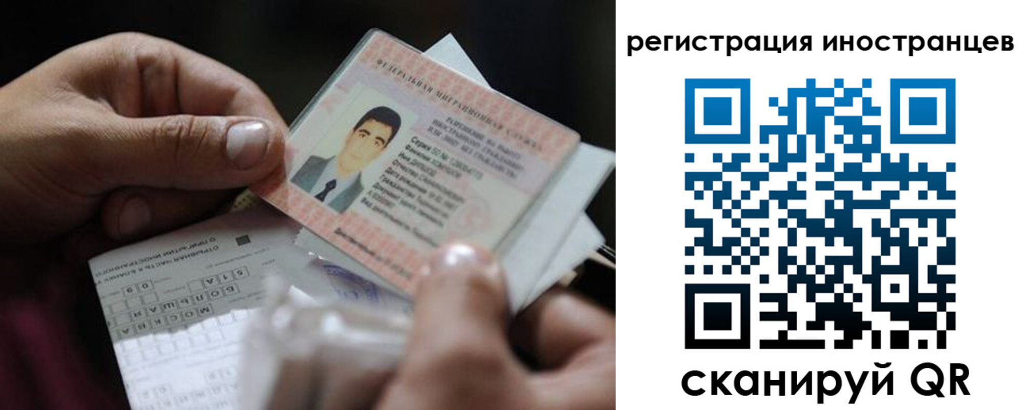 прописка для школы в Белой Калитве